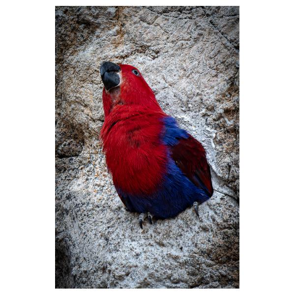 PHOTO84, CLUB, 84 , LUBERON